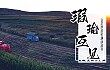 瑕瑜互见，坚韧前行—农机通2024农机品牌影响力白皮书发布！