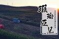 瑕瑜互见，坚韧前行—农机通2024农机品牌影响力白皮书发布！