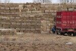 秸秆饲料“零浪费”：天朗打捆机让牛羊吃得干净、养殖户赚得更多