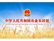 全國夏糧小麥收獲進度過半各地加強農(nóng)機作業(yè)服務(wù) 保障夏收順利推進