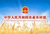 全國夏糧小麥收獲進度過半各地加強農(nóng)機作業(yè)服務(wù) 保障夏收順利推進
