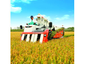 久保田4LBZ-172B(PRO888GM)半喂入联合收割机