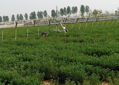 鑫農8SJY-2-32型水肥一體灌溉機