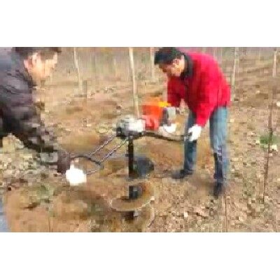 巍霖WL-48BD挖坑機(jī)
