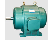 JS1510-10高压电动机