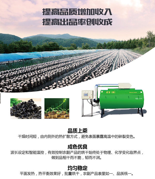 中联谷王5HBZ-300木耳烘干机