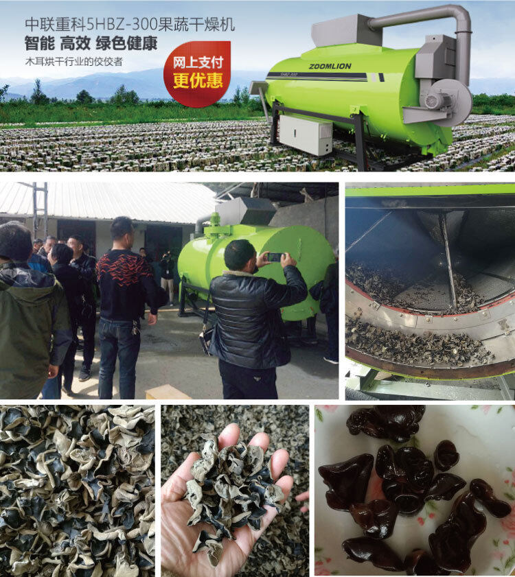 中联谷王5HBZ-300木耳烘干机