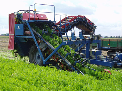 GRIMME（格立莫）T 200胡蘿卜收獲機