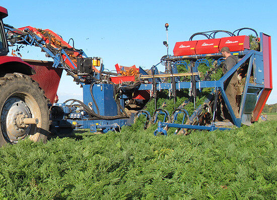 GRIMME（格立莫）T 300胡萝卜收获机