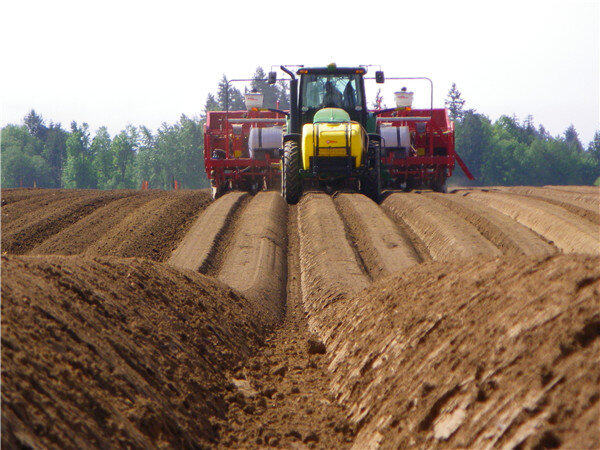 GRIMME（格立莫）GL660马铃薯播种机