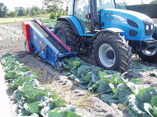 GRIMME（格立莫）MK 1000圆白菜收获机