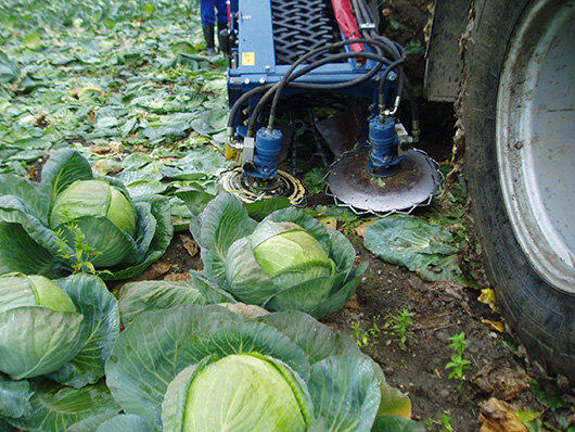 GRIMME（格立莫）MK 1000圆白菜收获机