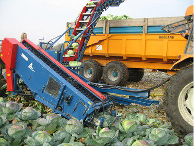 GRIMME（格立莫）TK 1000 E圓白菜收獲機