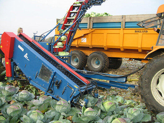 GRIMME（格立莫）TK 1000 E圆白菜收获机