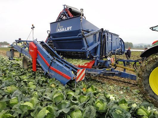 GRIMME（格立莫）TK 140 B圆白菜收获机