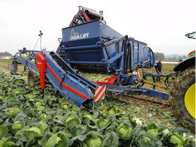 GRIMME（格立莫）TK 140 B圓白菜收獲機