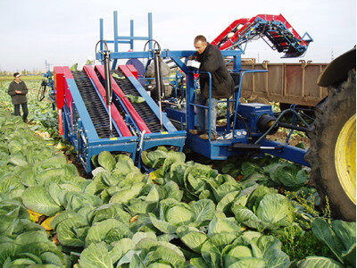 GRIMME（格立莫）TK 2000 E卷心菜收獲機