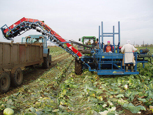 GRIMME（格立莫）TK 2000 E卷心菜收获机