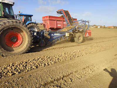 GRIMME（格立莫）SL 122系列圆葱装车机