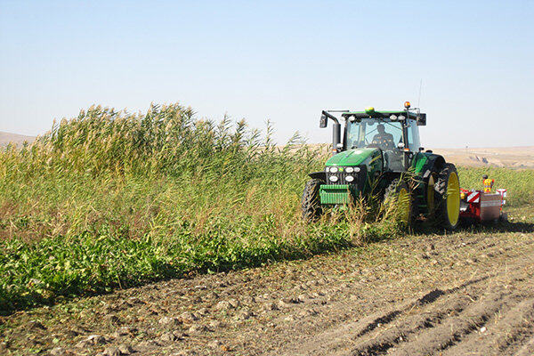 GRIMME（格立莫）BM 300打叶机