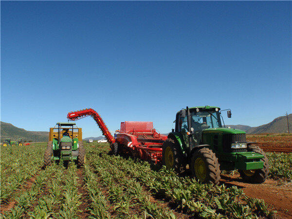 GRIMME(格立莫)GT170裝車提升臂式馬鈴薯收獲機