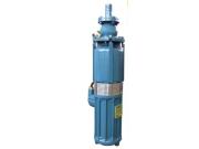 BQW40-28-5.5水泵