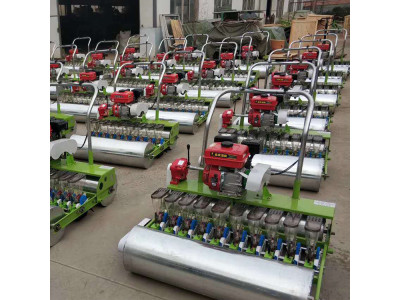 绿创机械LC-6汽油机自走式蔬菜播种机
