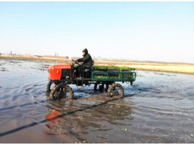 黑龍江建三江農(nóng)墾海波7YS-800水田運(yùn)苗車