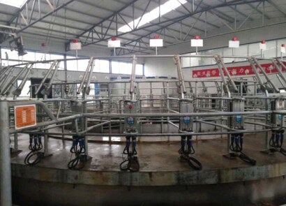 上海麥喀斯9JZD-40擠奶機