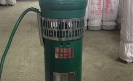徐州泰丰QS65-25小型潜水电泵