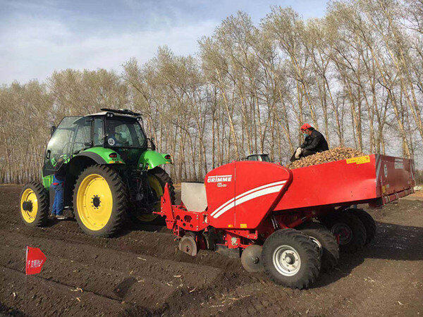 GRIMME(格立莫)GL430马铃薯播种机