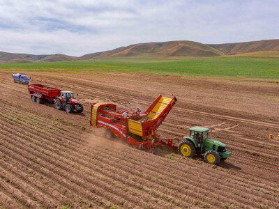 GRIMME（格立莫）SV260馬鈴薯料斗式聯合收獲機