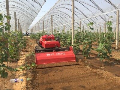 菱代遙控履帶果園管理旋耕機