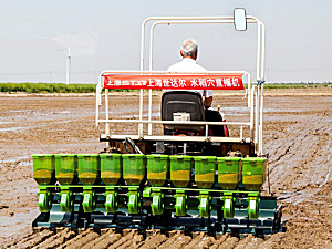 上海世达尔2BDXS-10CP(20/25)水稻穴直播机