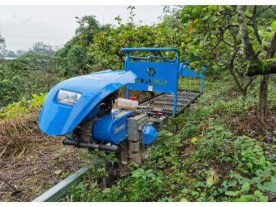 正月7ZDGS-200果園軌道運輸機