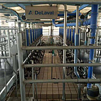 利拉伐(DeLaVal)9JBD-24挤奶机