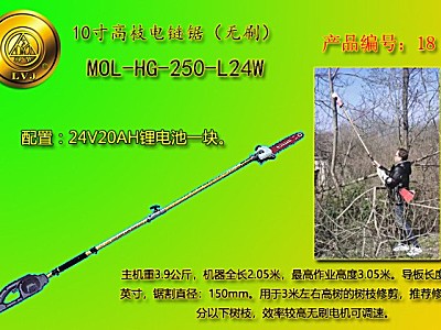 綠節MOL-HG-250-L24W高枝電鏈鋸