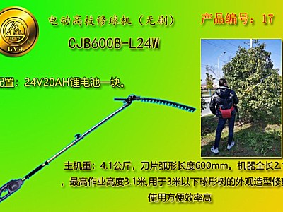 綠節CJB600B-G-L24W電動高枝弧形修剪機