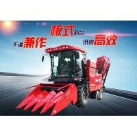 金大豐4YZP-4FG