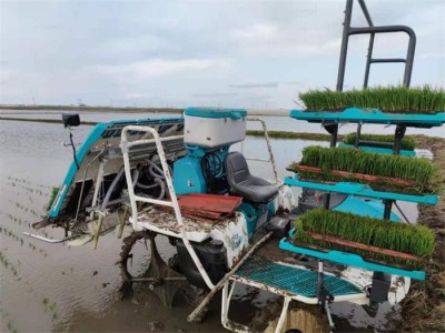 河南賽騰2FH-1.8A(F6)水稻側深施肥機