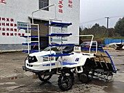 2ZGQ-8插秧机