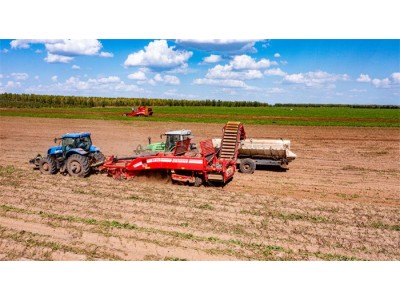 GRIMME（格立莫）GT170馬鈴薯裝車提升臂式聯(lián)合收獲機