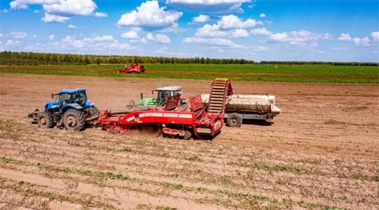 GRIMME（格立莫）GT170马铃薯装车提升臂式联合收获机