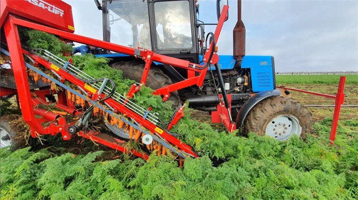 GRIMME（格立莫）CM-1000C胡蘿卜收獲機(jī)