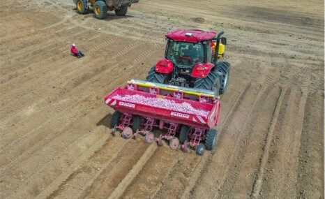 GRIMME（格立莫）GL 410播種機