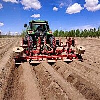 GRIMME（格立莫）GH 4起壟機(jī)