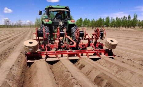 GRIMME（格立莫）GH 4馬鈴薯中耕起壟機(jī)