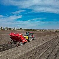 GRIMME（格立莫）GL 430馬鈴薯播種機