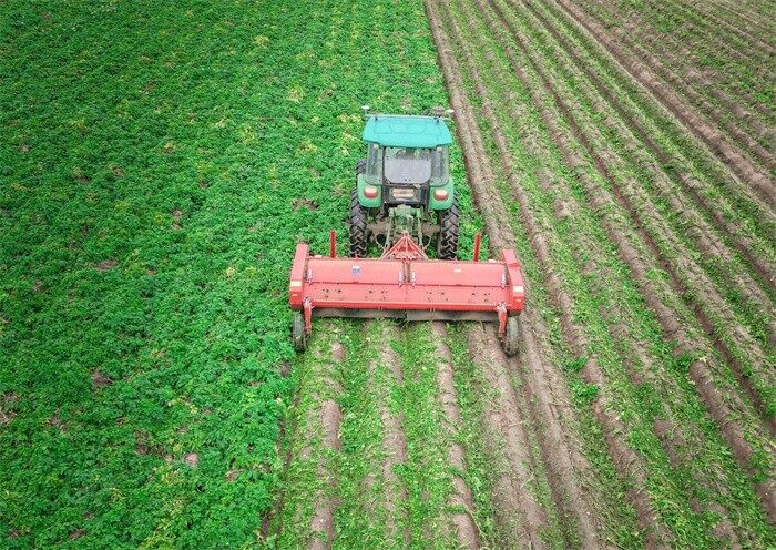 GRIMME（格立莫）KS 3600殺秧機