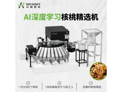 中瑞微視SSH4B10-AA核桃精選機(jī)